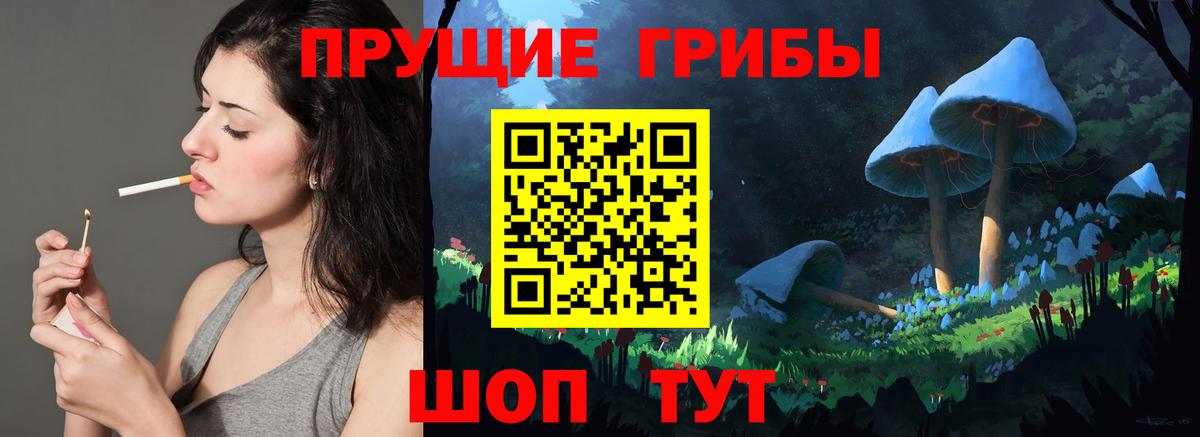 Егорьевск  продажа наркотиков  Вход с VPN  Псилоцибиновые грибы MAGIC MUSHROOMS 